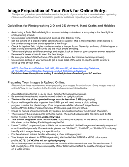 Image Preparation of Your Work for Online Entry: the Tips and Guidelines Provided Below Are for the Photo of Your Entry That Is Required When Registering