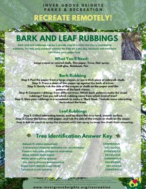 BARK and LEAF RUBBINGS Bark and Leaf Rubbings Can Be a Simple Way to Collect the Many Interesting Patterns