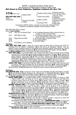 MARE, Consigned by Meon Valley Stud the Property of Partnership of Meon Valley Stud Will Stand at Park Paddocks, Highflyer Paddock CC, Box 744