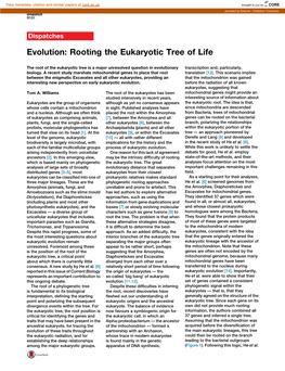 Evolution: Rooting the Eukaryotic Tree of Life