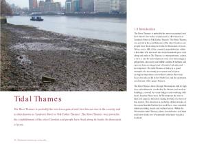 Tidal Thames