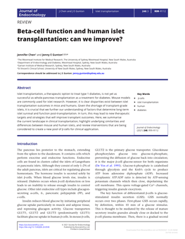 Beta-Cell Function and Human Islet Transplantation: Can We Improve?