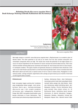 Belimbing Darah (Baccaurea Angulata Merr.), Buah Keluarga Menteng Endemik Kalimantan Dan Kerabatnya