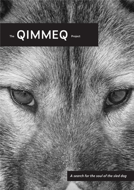 The QIMMEQ Project