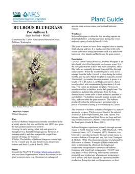 BULBOUS BLUEGRASS Plant Guide