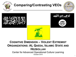 VEO Cognitive Dimension SMA Variant Brief-Compressed