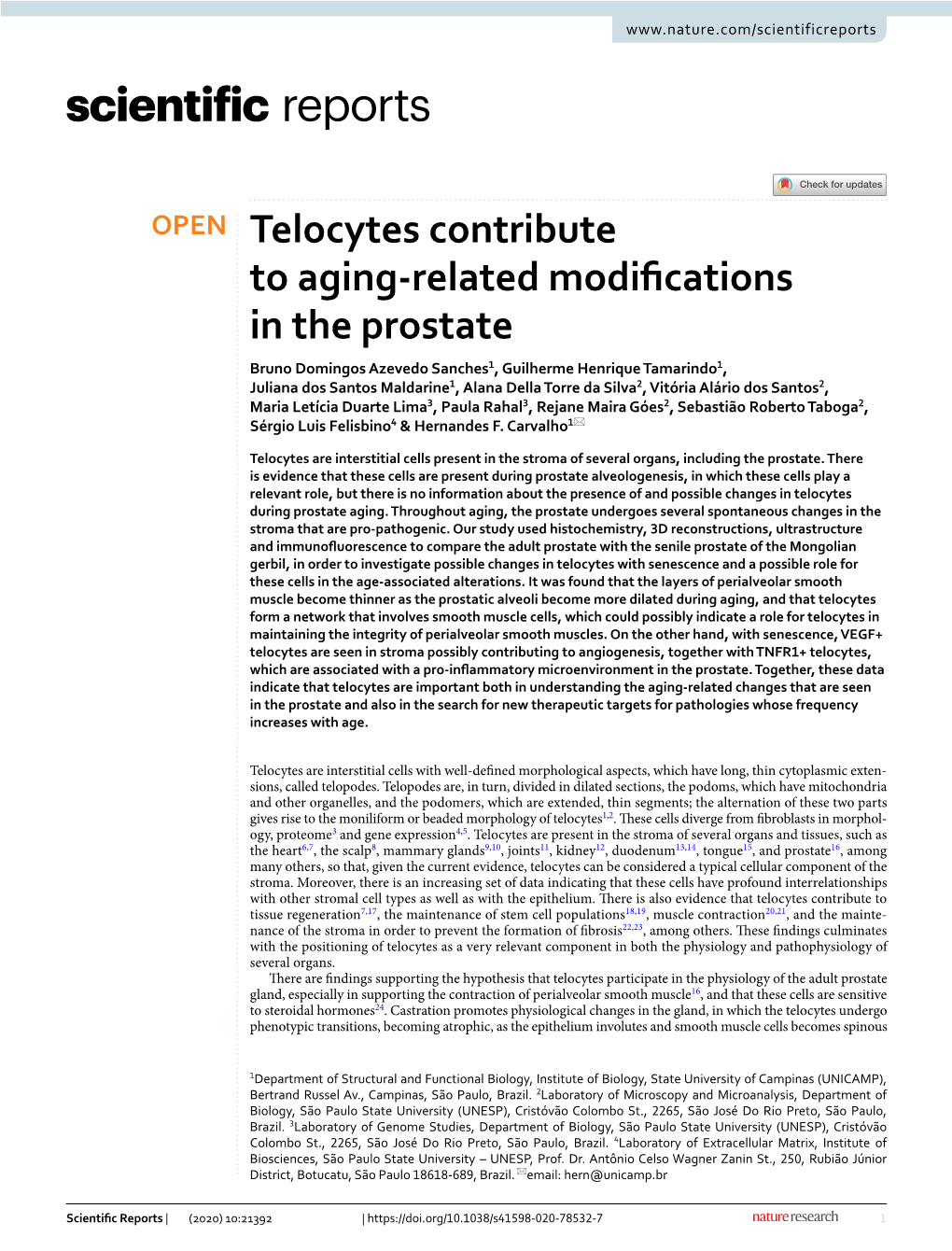 Telocytes Contribute to Aging-Related Modifications in the Prostate