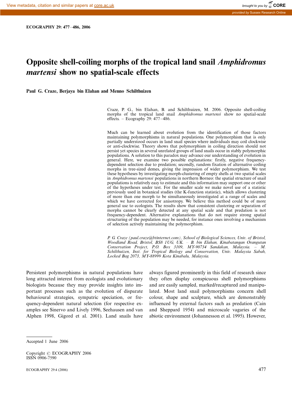 Opposite Shell-Coiling Morphs of the Tropical Land Snail Amphidromus Martensi Show No Spatial-Scale Effects