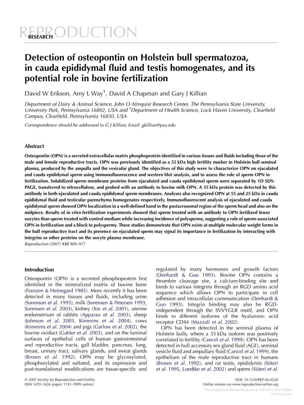 Detection of Osteopontin on Holstein Bull Spermatozoa, in Cauda Epididymal ﬂuid and Testis Homogenates, and Its Potential Role in Bovine Fertilization