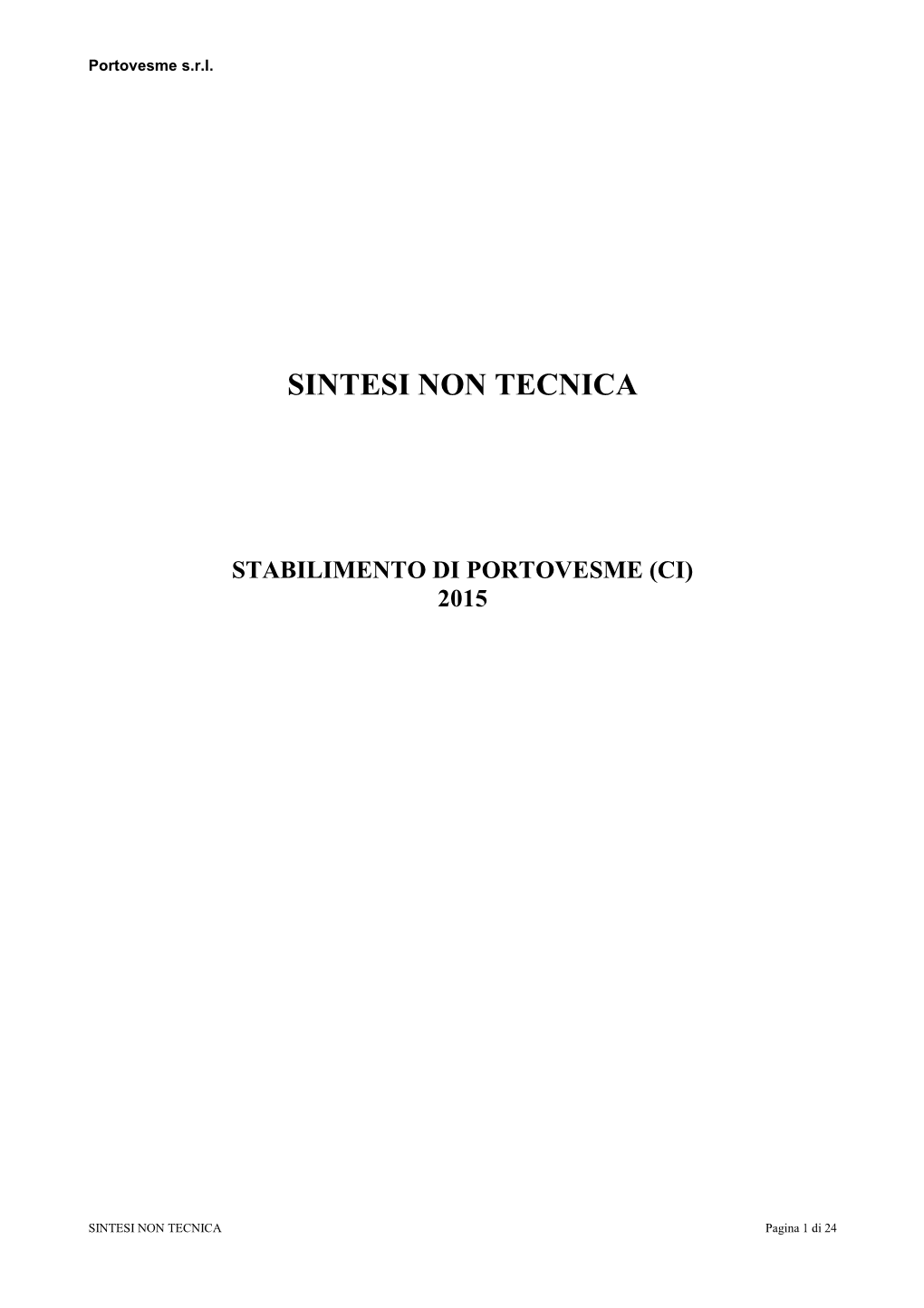 Sintesi Non Tecnica