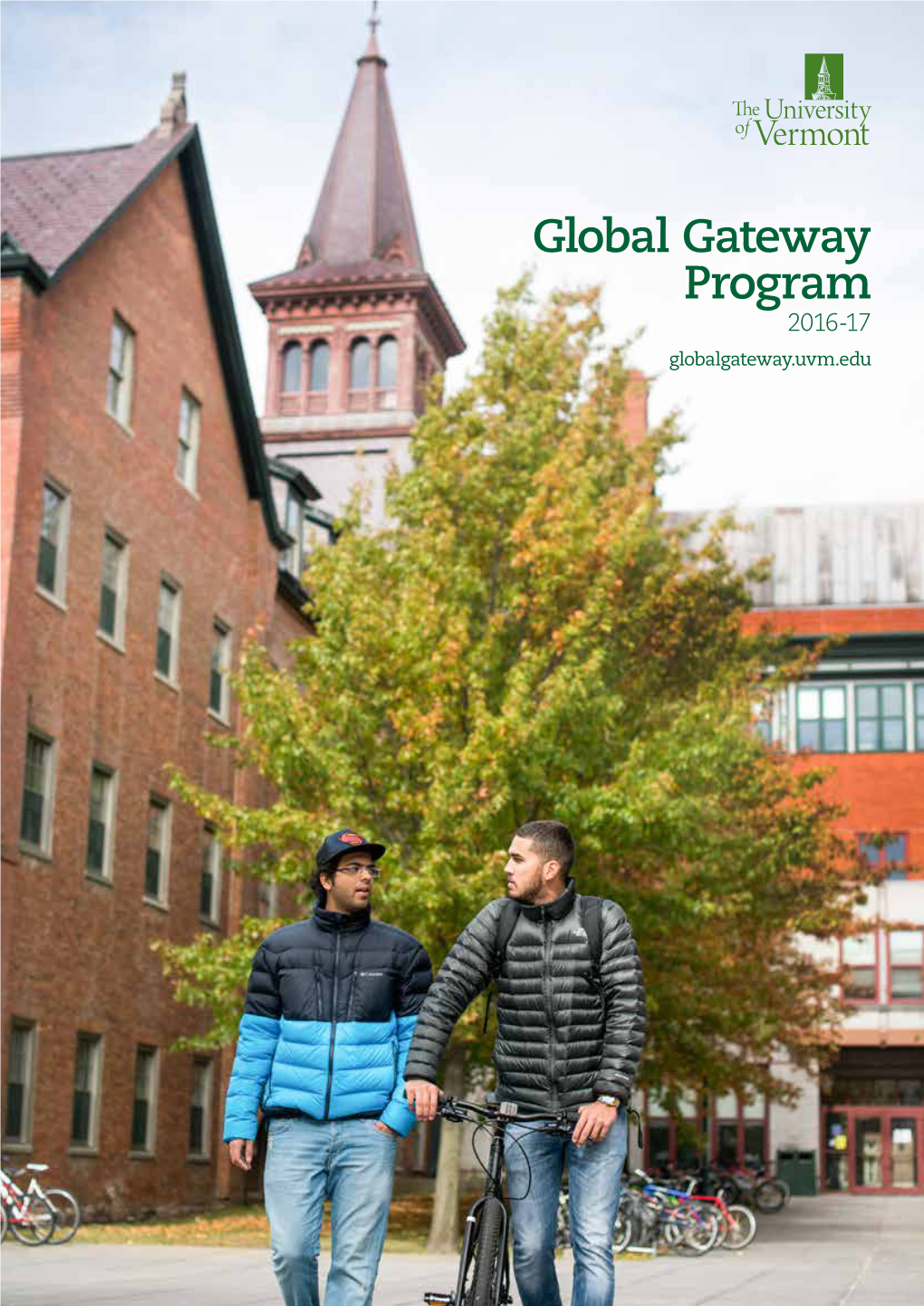 Global Gateway Program