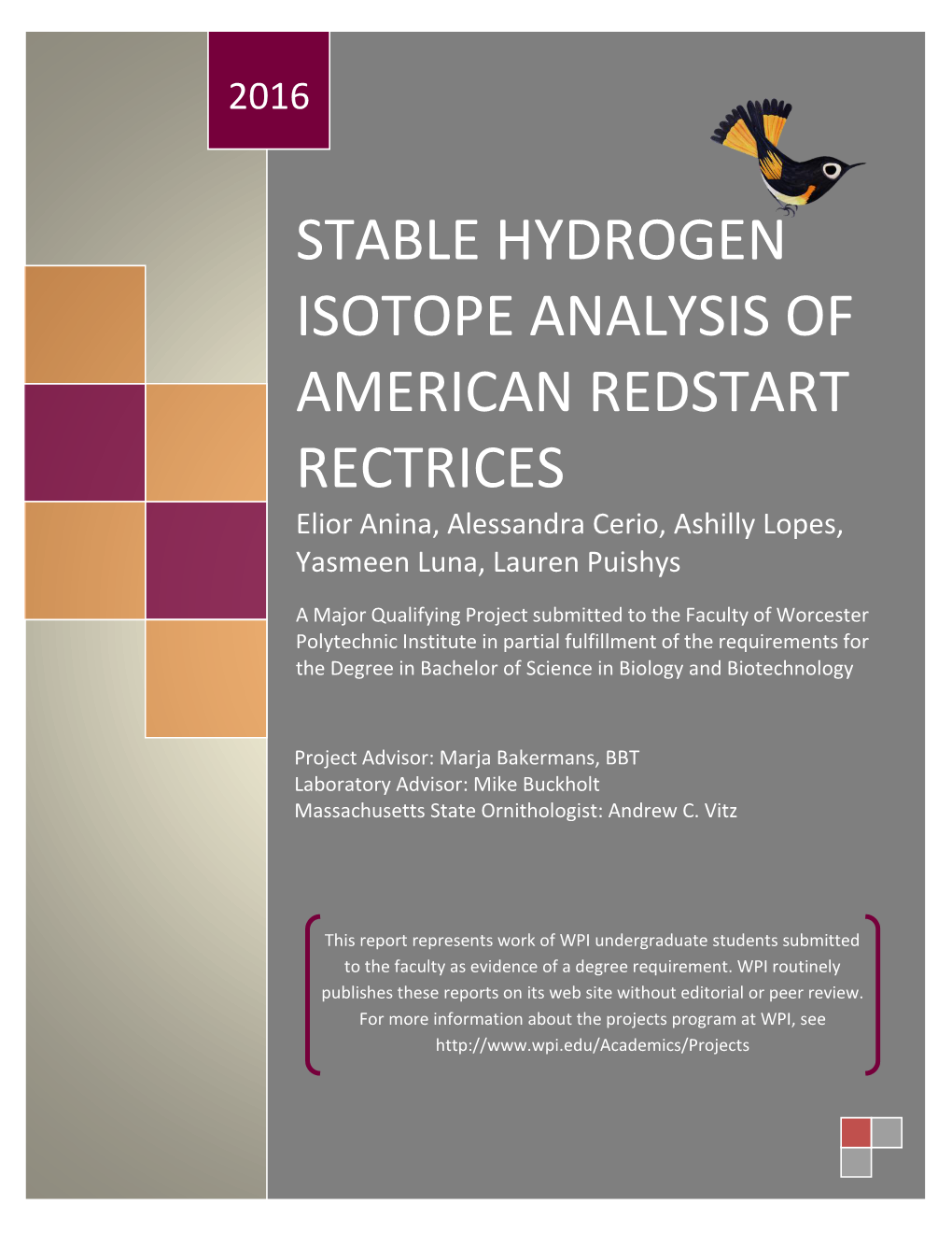 STABLE HYDROGEN ISOTOPE ANALYSIS of AMERICAN REDSTART RECTRICES Elior Anina, Alessandra Cerio, Ashilly Lopes, Yasmeen Luna, Lauren Puishys