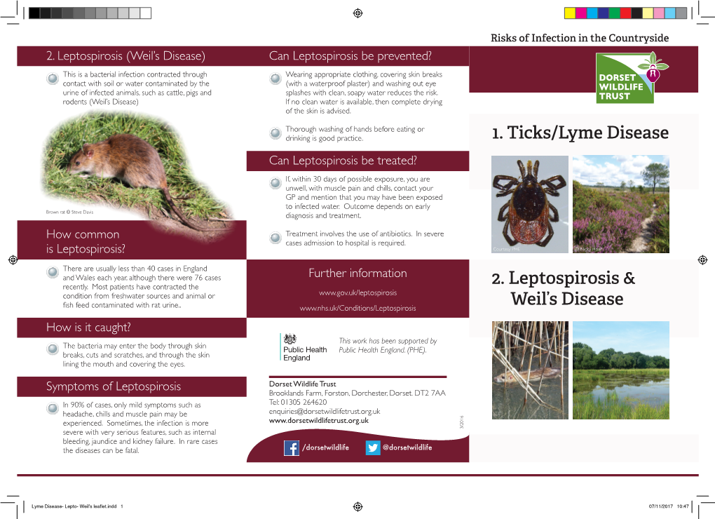 1. Ticks/Lyme Disease 2. Leptospirosis & Weil's Disease