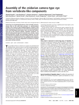 Assembly of the Cnidarian Camera-Type Eye from Vertebrate-Like Components