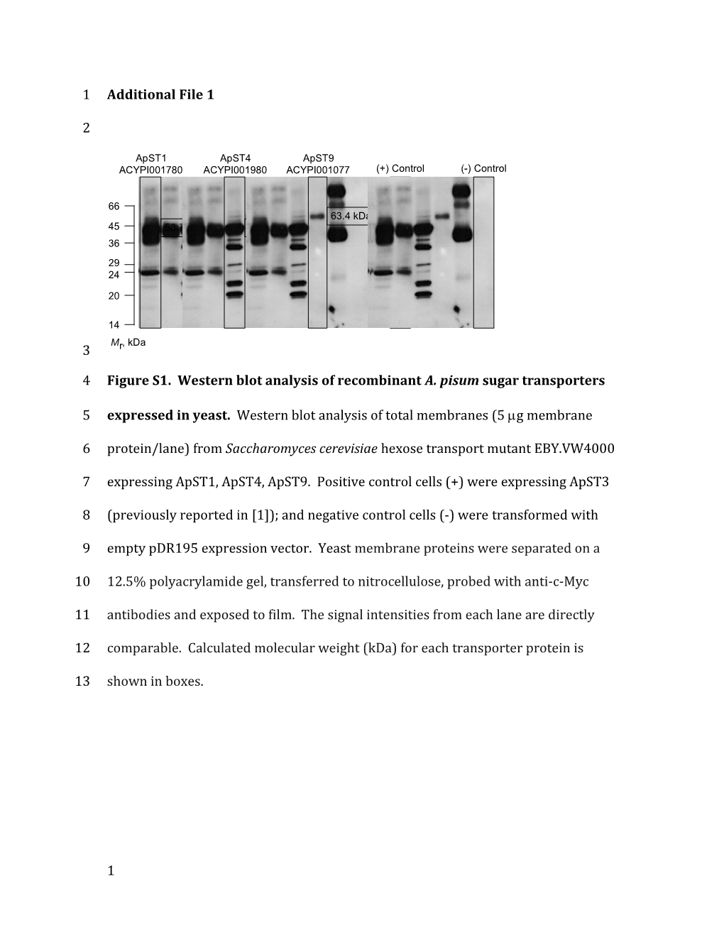 Additional File 1 s17