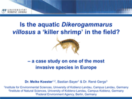 Is the Aquatic Dikerogammarus Villosus a 'Killer Shrimp'