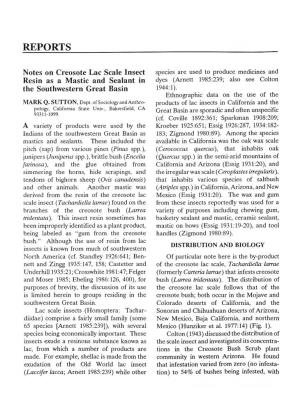 Notes on Creosote Lac Scale Insect Resin As a Mastic and Sealant In
