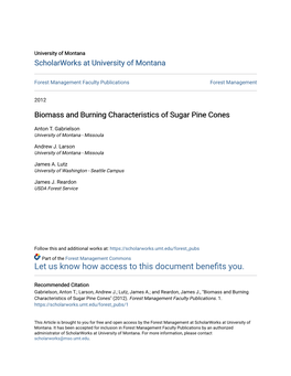 Biomass and Burning Characteristics of Sugar Pine Cones
