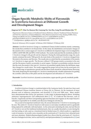 Organ-Specific Metabolic Shifts of Flavonoids in Scutellaria