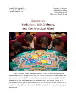 Buddhism, Mindfulness, and the Practical Mind