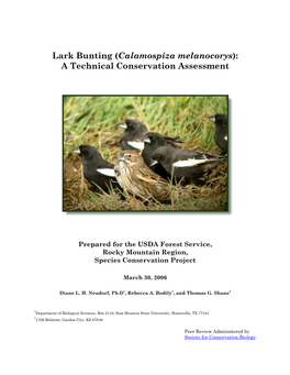 Lark Bunting (Calamospiza Melanocorys): a Technical Conservation Assessment