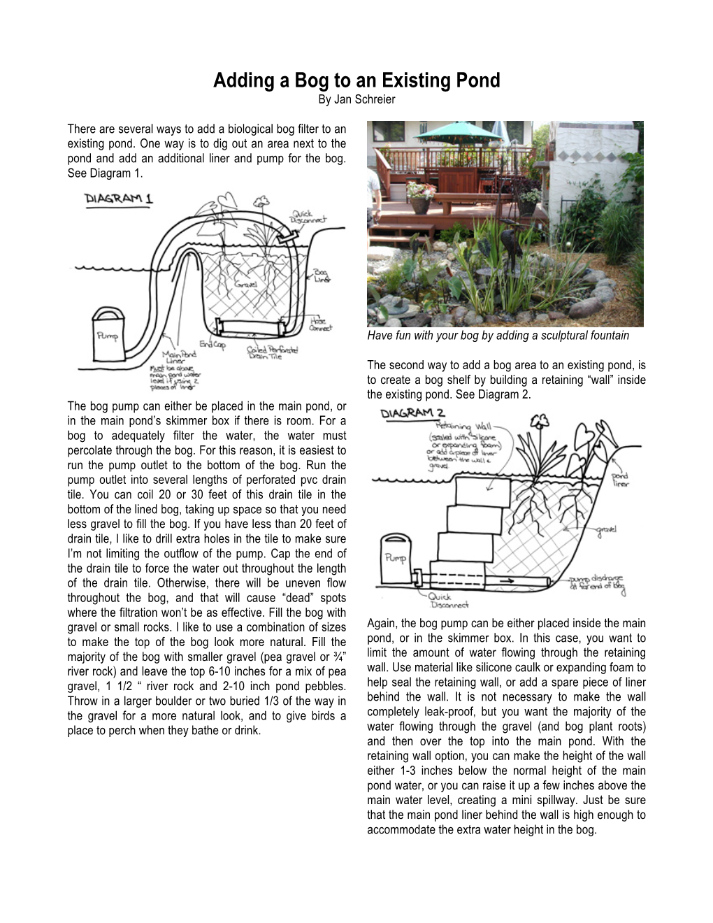 Adding a Bog to an Existing Pond by Jan Schreier