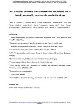 BCL6 Evolved to Enable Stress Tolerance in Vertebrates and Is Broadly Required by Cancer Cells to Adapt to Stress