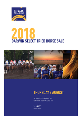 Darwin Select Tried Horse Sale Thursday 2 August