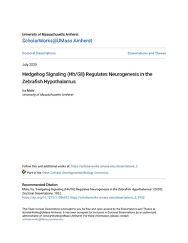(Hh/Gli) Regulates Neurogenesis in the Zebrafish Hypothalamus