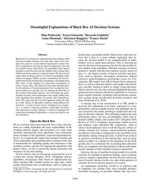 Meaningful Explanations of Black Box AI Decision Systems