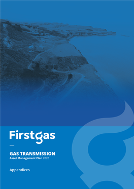GAS TRANSMISSION Asset Management Plan 2020