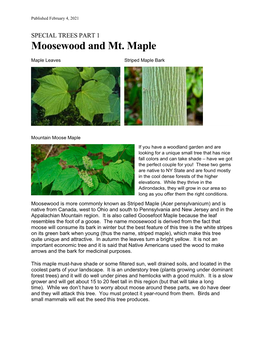Moosewood and Mt. Maple
