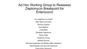 Ad Hoc Working Group to Reassess Daptomycin Breakpoint for Enterococci