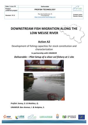 Downstream Fish Migration Along the Low Meuse River