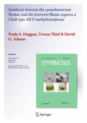 Symbiosis Between the Cyanobacterium Nostoc and the Liverwort Blasia Requires a Cher-Type MCP Methyltransferase