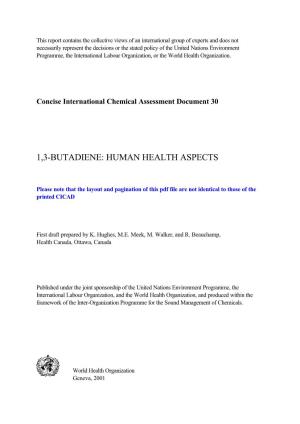 1,3-Butadiene: Human Health Aspects