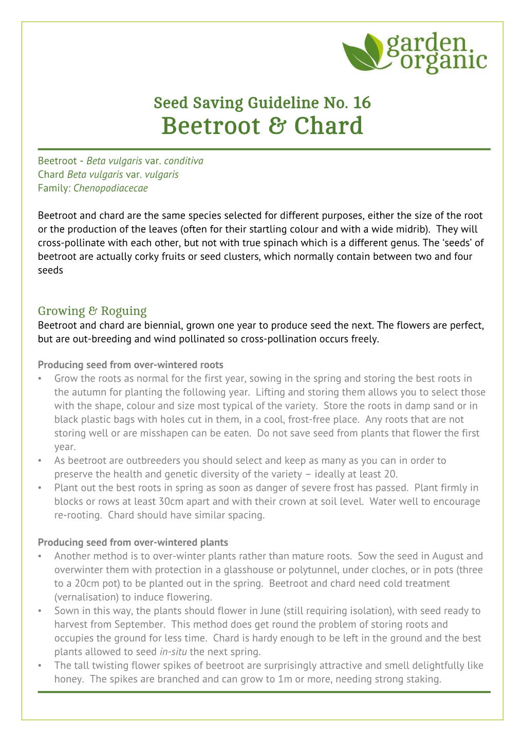 Seed Saving Guideline No. 16 Beetroot & Chard