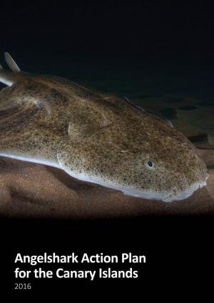 Angelshark Action Plan for the Canary Islands 2016 2