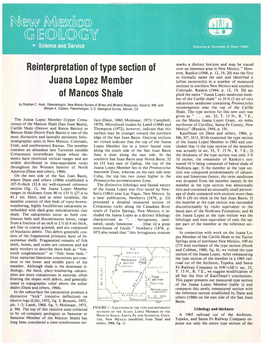 Juana Lopez Member (Upper Creta- Face (Dane, 1960;Molenaar,1973I Campbell, on the Mesita Juana Lopez Grant, Six Miles Ceous)Of the Mancosshale (San Juan Basin), 1979)