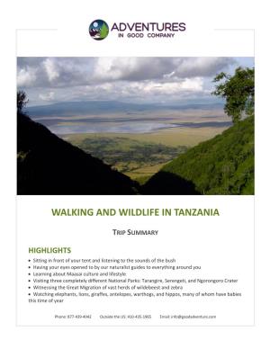 Walking and Wildlife in Tanzania