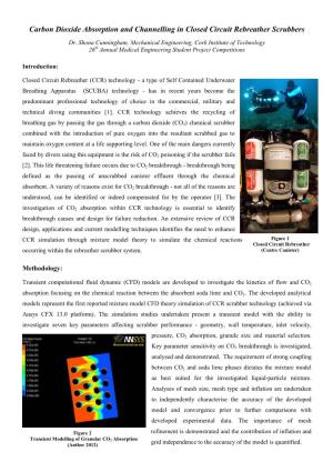 Carbon Dioxide Absorption and Channelling in Closed Circuit Rebreather Scrubbers