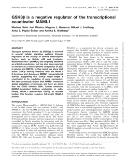 Gsk3b Is a Negative Regulator of the Transcriptional Coactivator MAML1 Mariana Saint Just Ribeiro, Magnus L