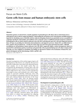 Focus on Stem Cells Germ Cells from Mouse and Human Embryonic Stem Cells