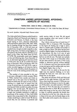 Chaetura Andrei (Apodiformes, Apodidae) : Aspects of Nesting