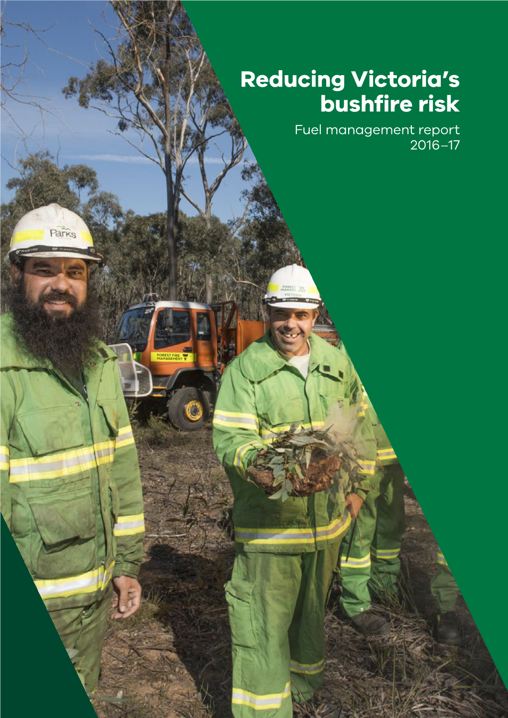 Reducing Victoria's Bushfire Risk