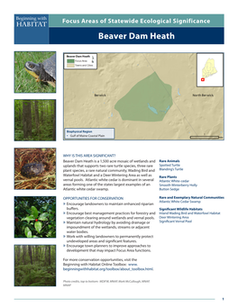 Beaver Dam Heath Beginning with Focus Areas of Statewide Ecological Significance Habitat Beaver Dam Heath