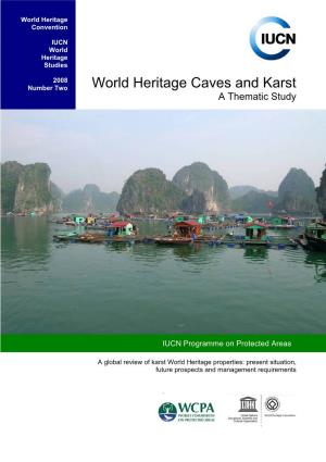 World Heritage Caves and Karst: a Thematic Study