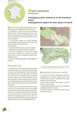 Managing Water Primrose in the Gardons Basin Management Report on Four Years of Work