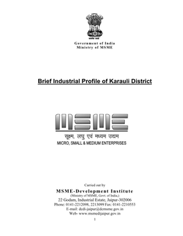 Brief Industrial Profile of Karauli District