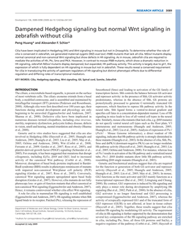 Dampened Hedgehog Signaling but Normal Wnt Signaling in Zebrafish Without Cilia Peng Huang* and Alexander F
